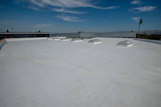 Best Gutter Installation and Repair  in Ralston, NE