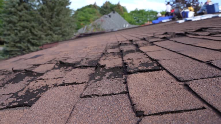 Best Slate Roofing  in Ralston, NE